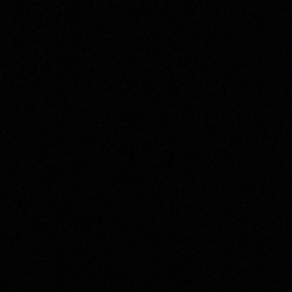 justin_blevins